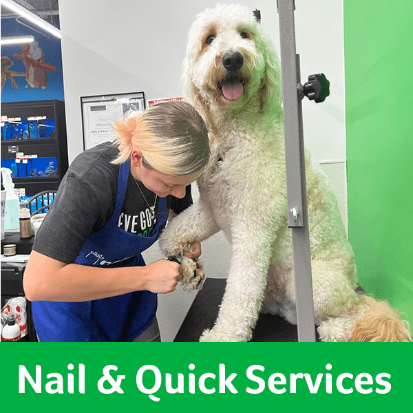 petco groomer near me