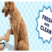 petco groomer near me