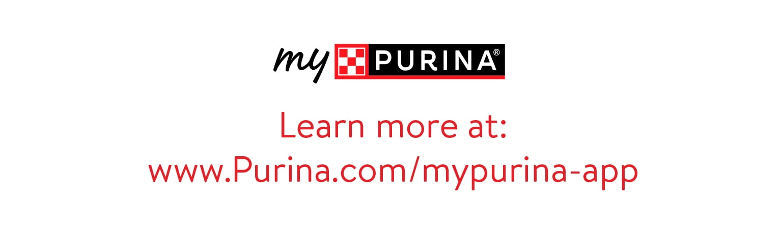 mypurina