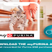 mypurina