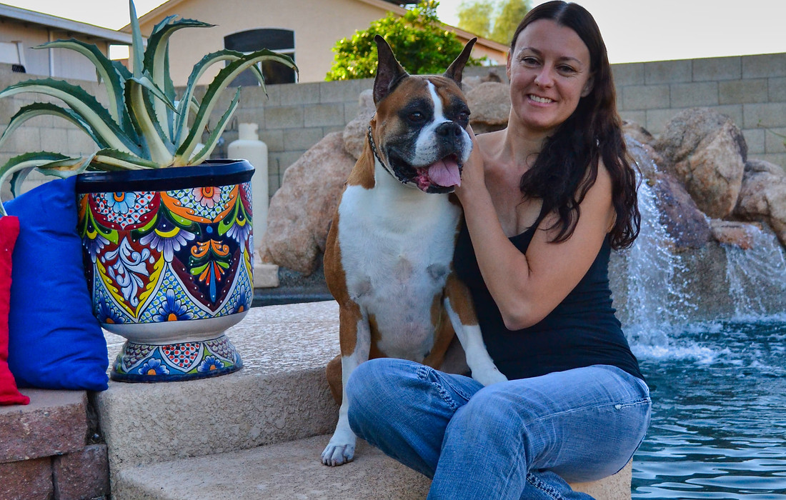 boxer breeders in arizona
