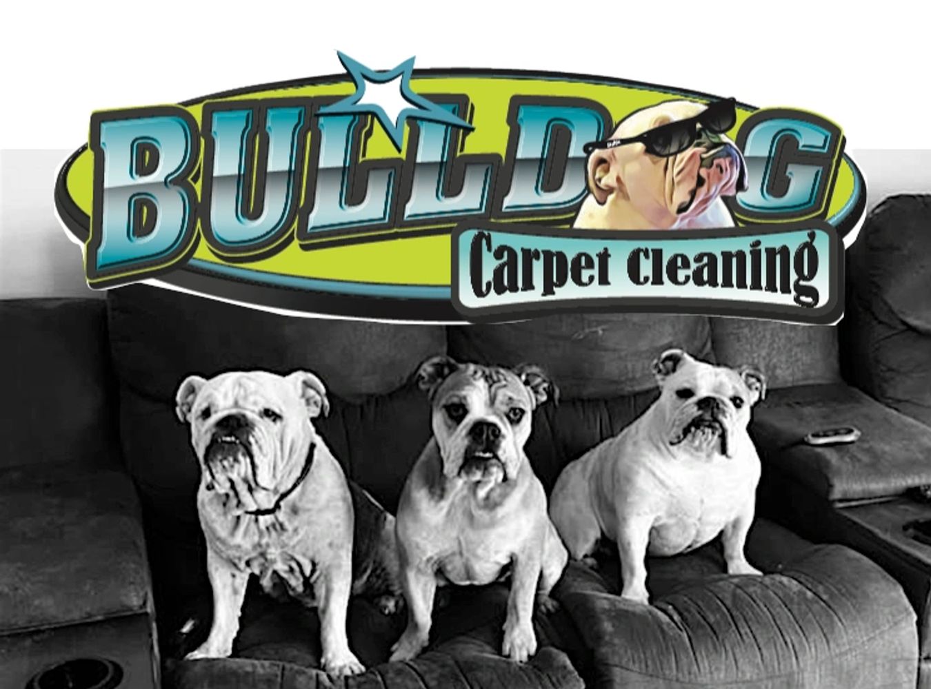 bulldog carpet cleaners