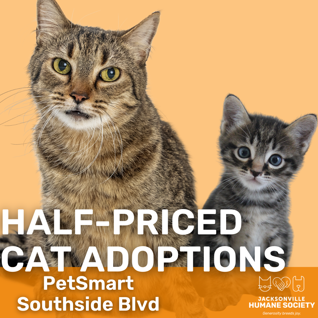petsmart kitten adoption fee