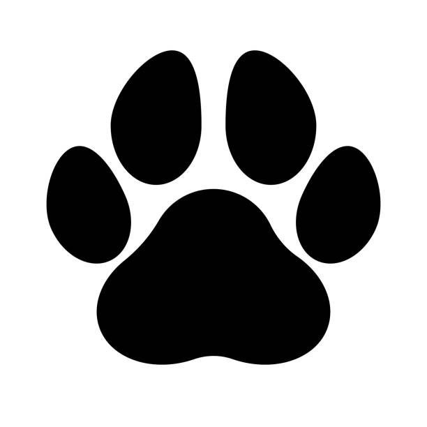 image of a paw