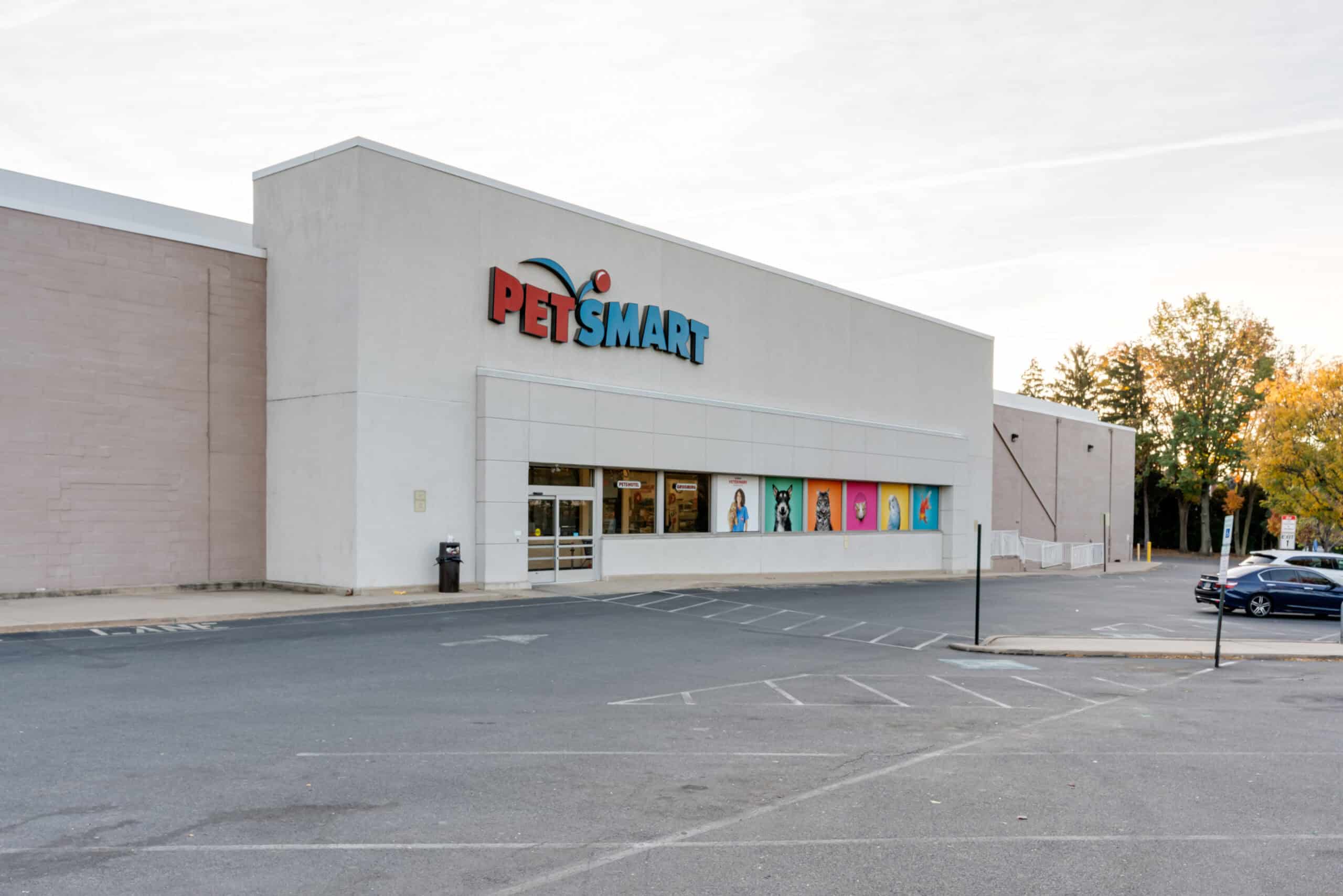 petsmart in springfield pa