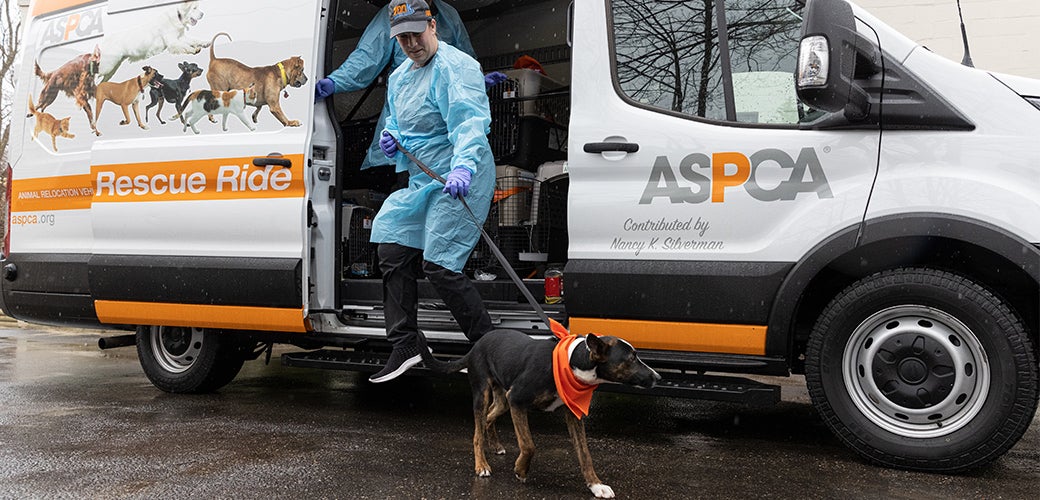 aspca relocation program