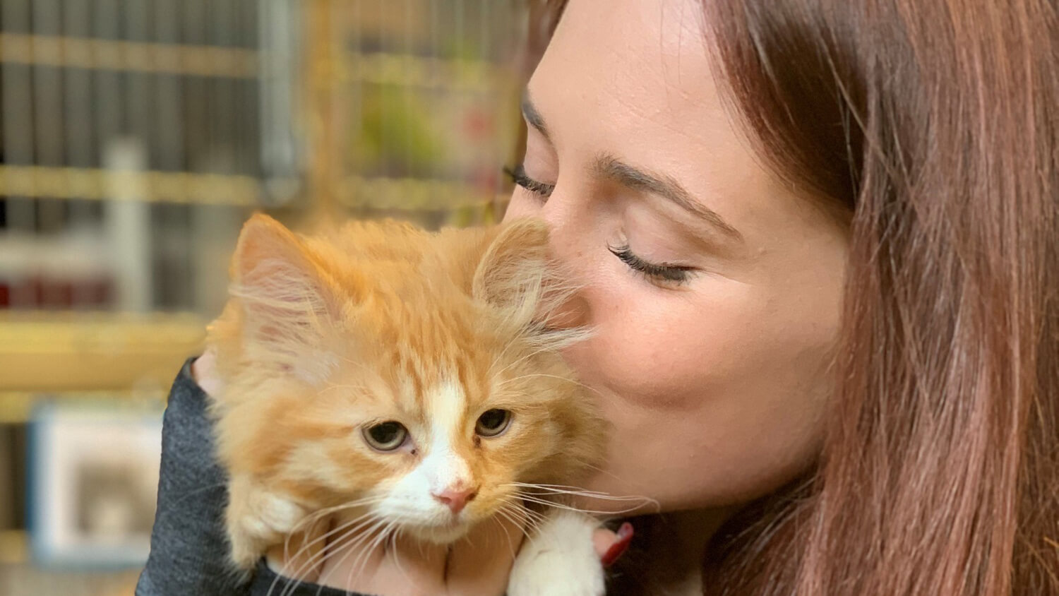 female cat adoption near me