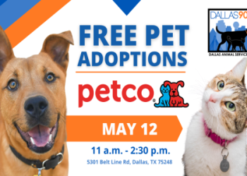 free cat sanctuary near me