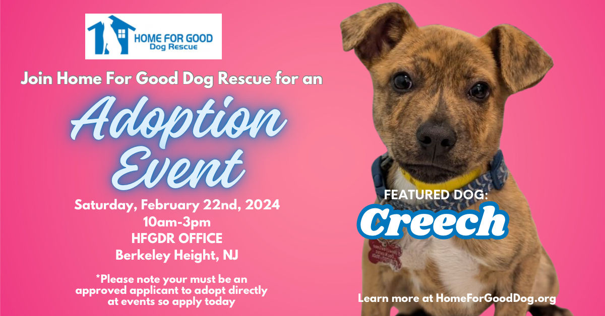 adoption events today