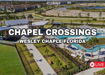 petfinder wesley chapel