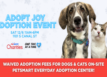 petsmart adopt dog