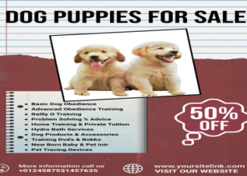 dog sale websites