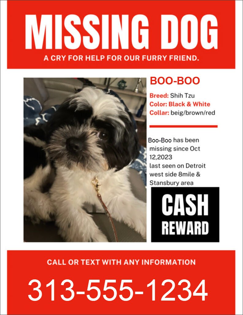 missing dogs near me