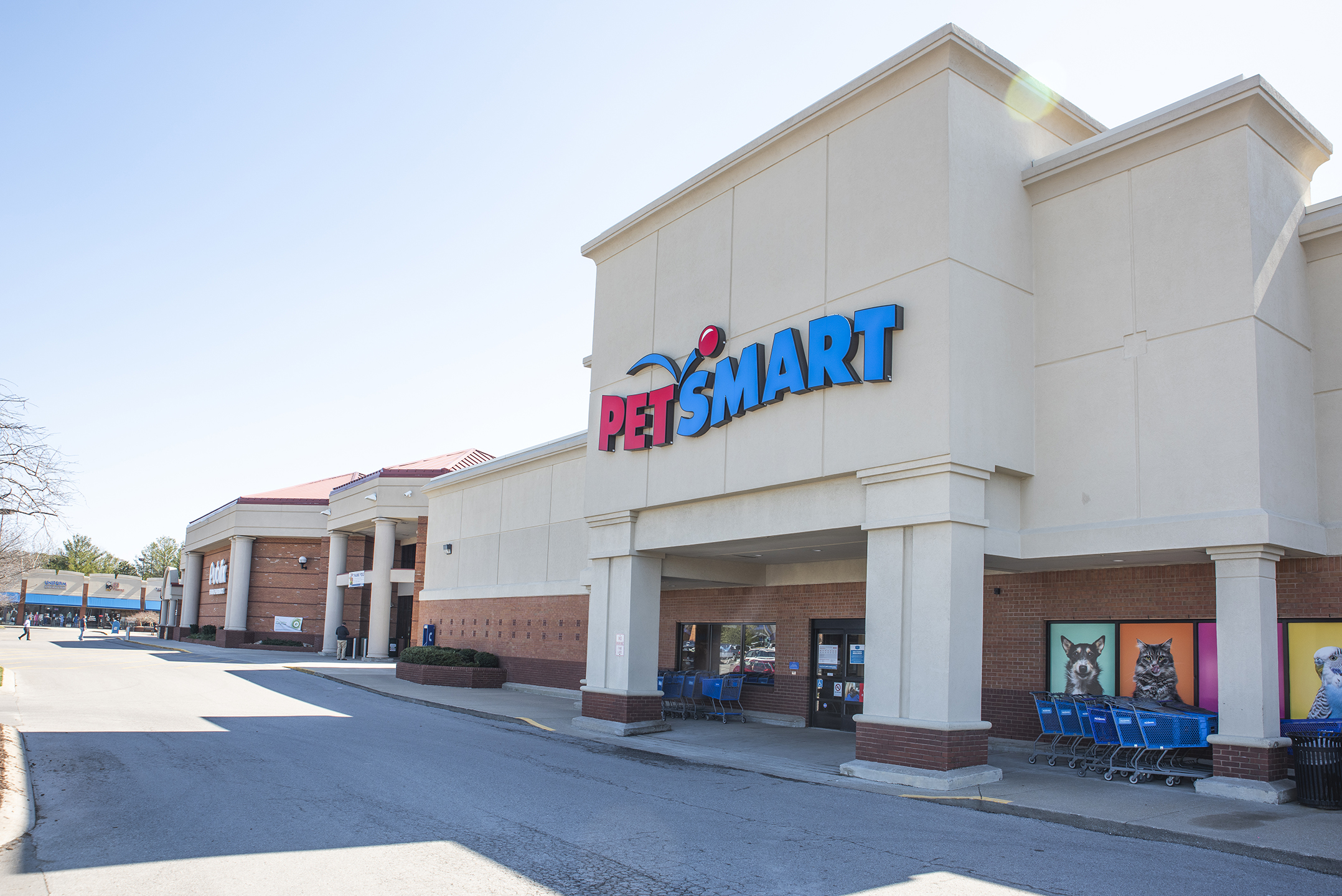 cool springs petsmart