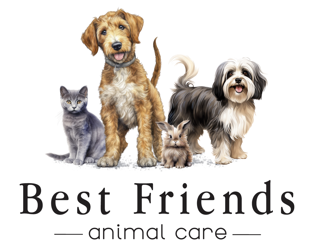 best friends animal care