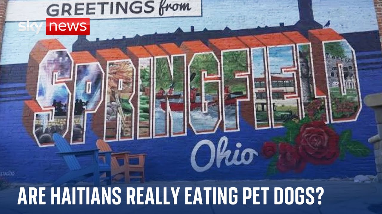 eating dogs and cats springfield