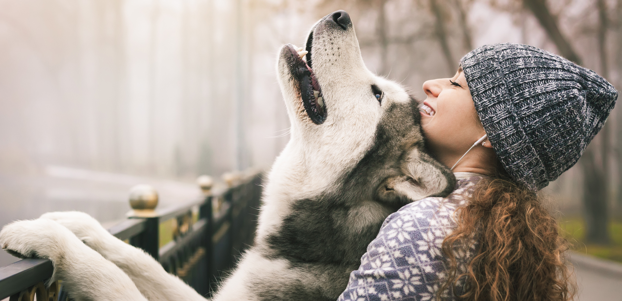 rehome adopt a pet com