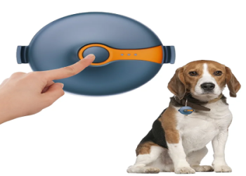 beagle finder
