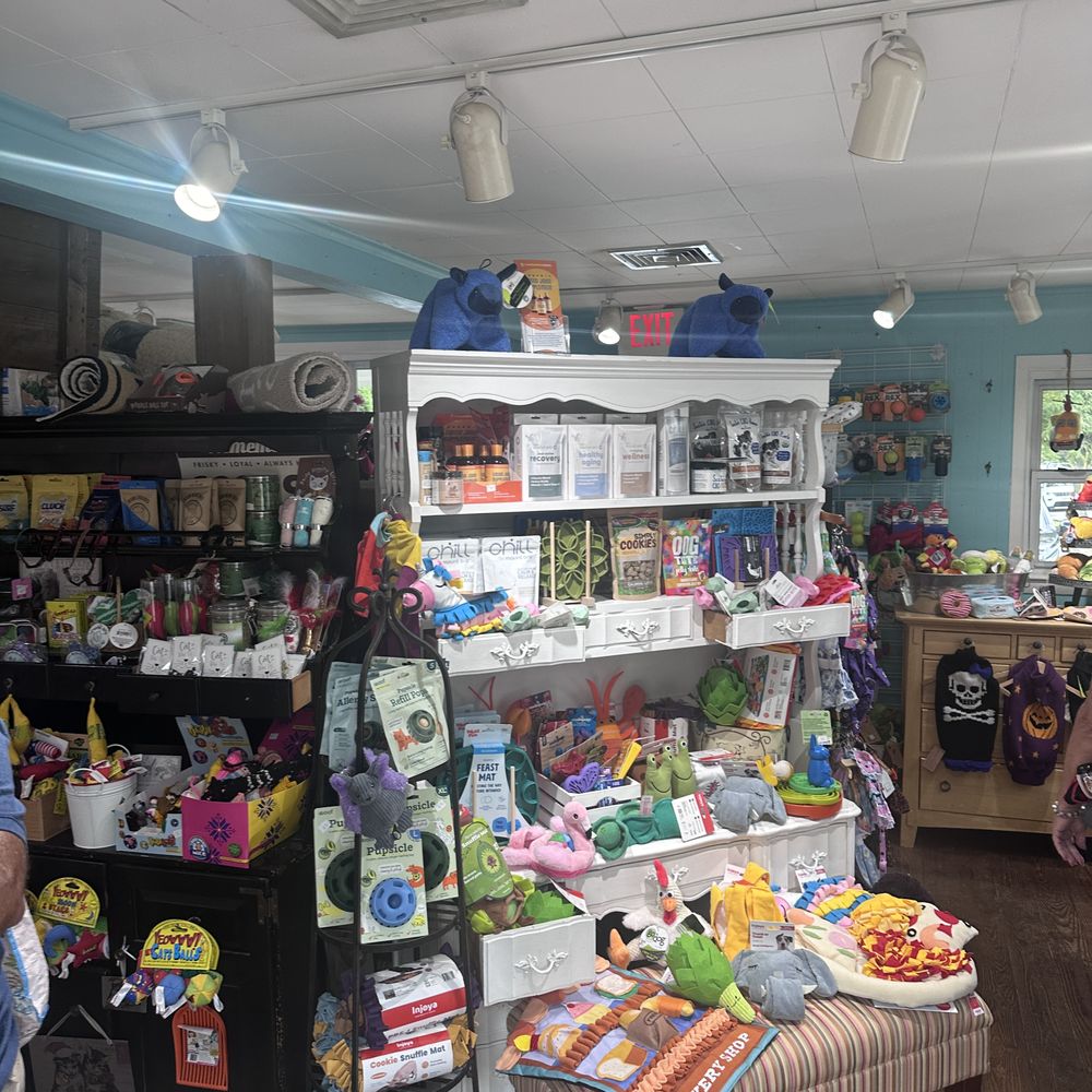 pet store chester nj