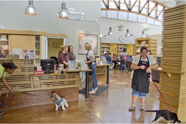 paws chicago adoption center