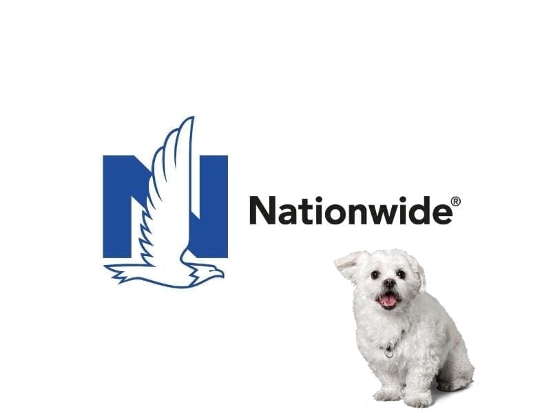 nationawide pet