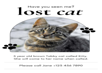 lost cat finder near me
