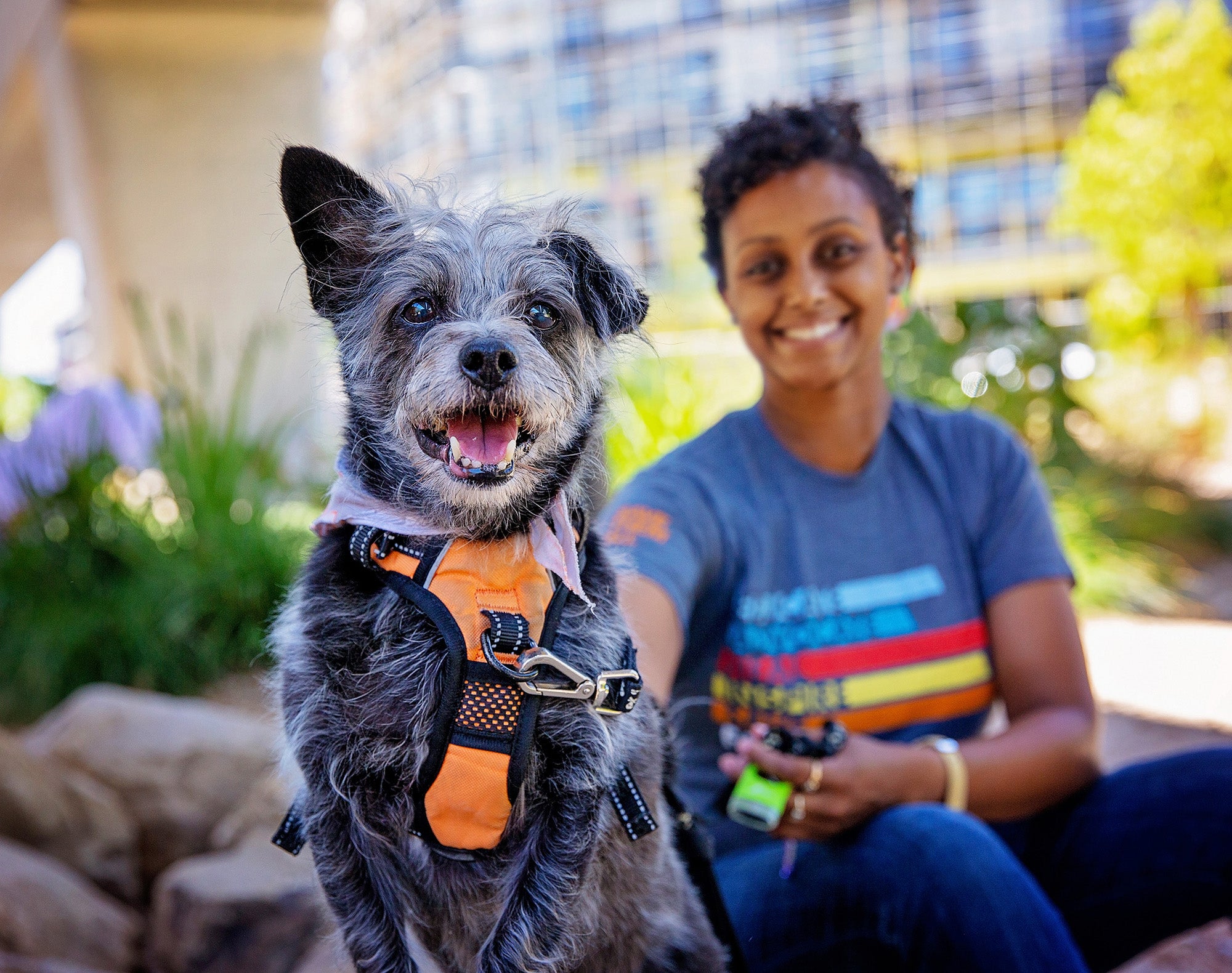 best friends.org-dogs