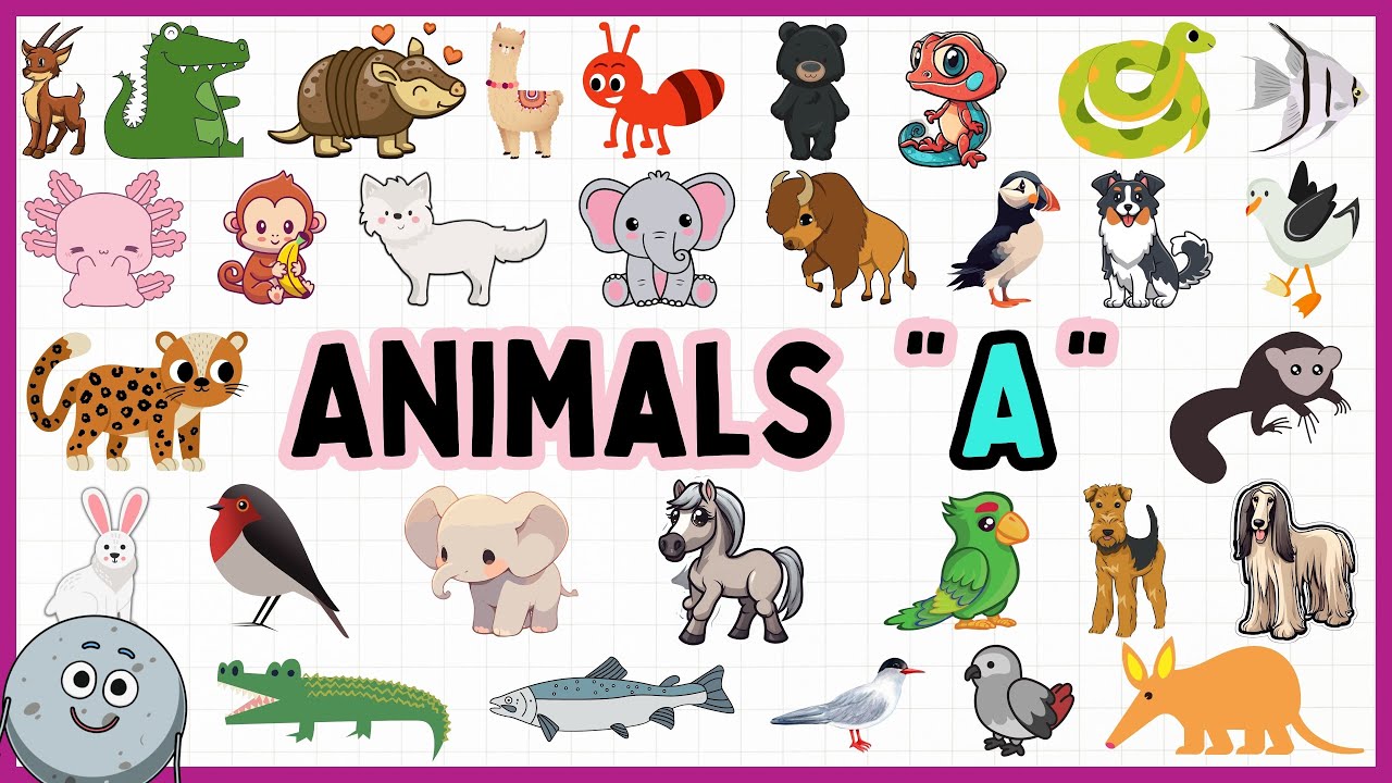 animal for a