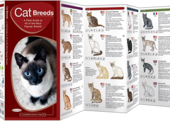 cat breeds start with c