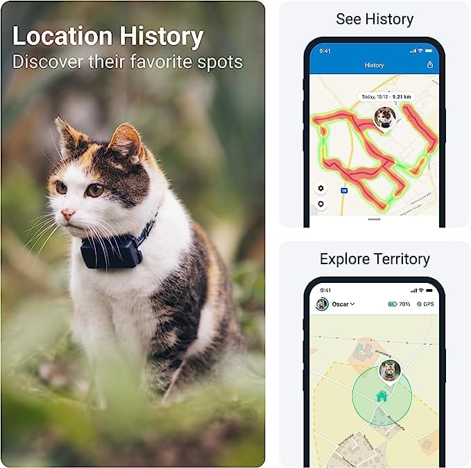 cat locator app