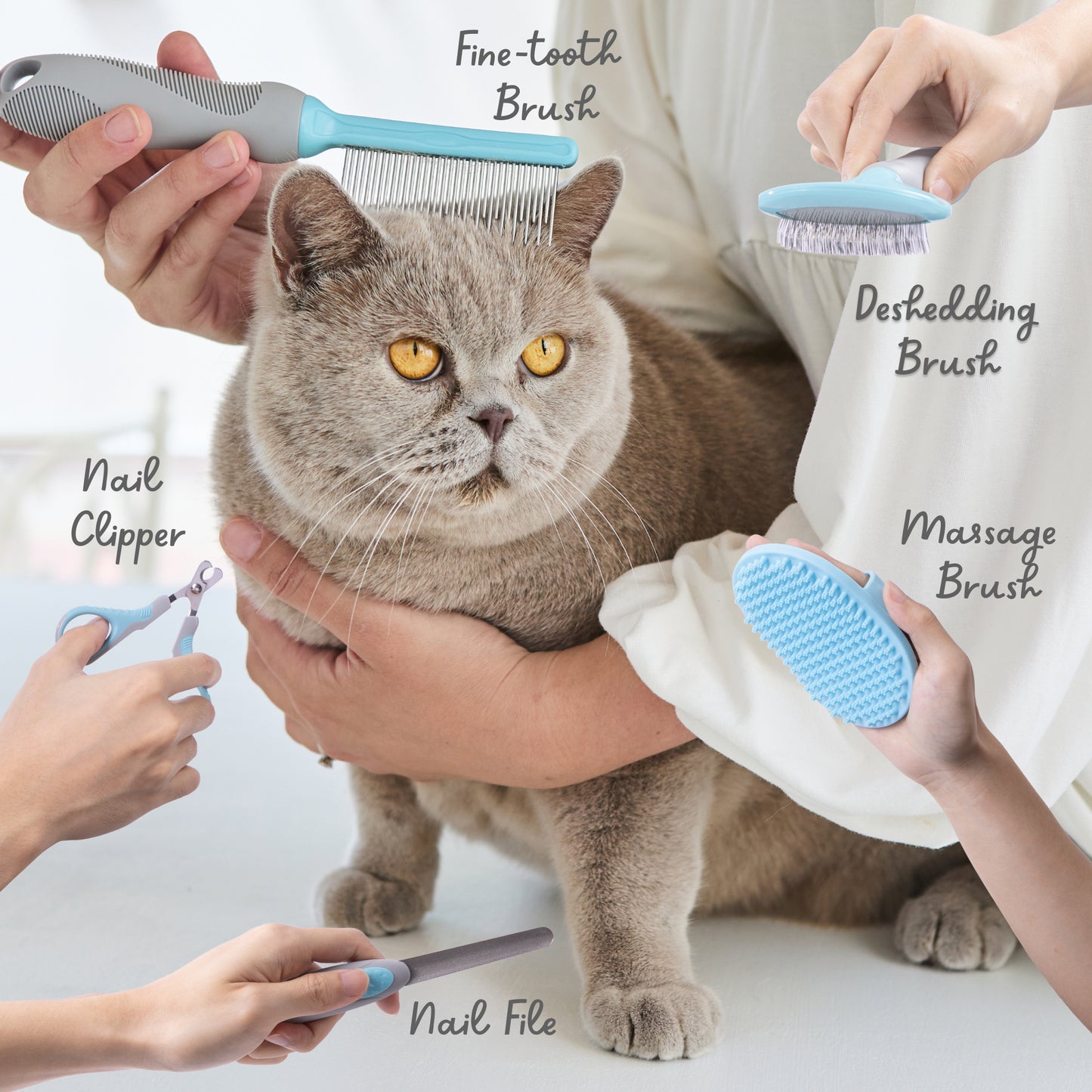 best cat groomer