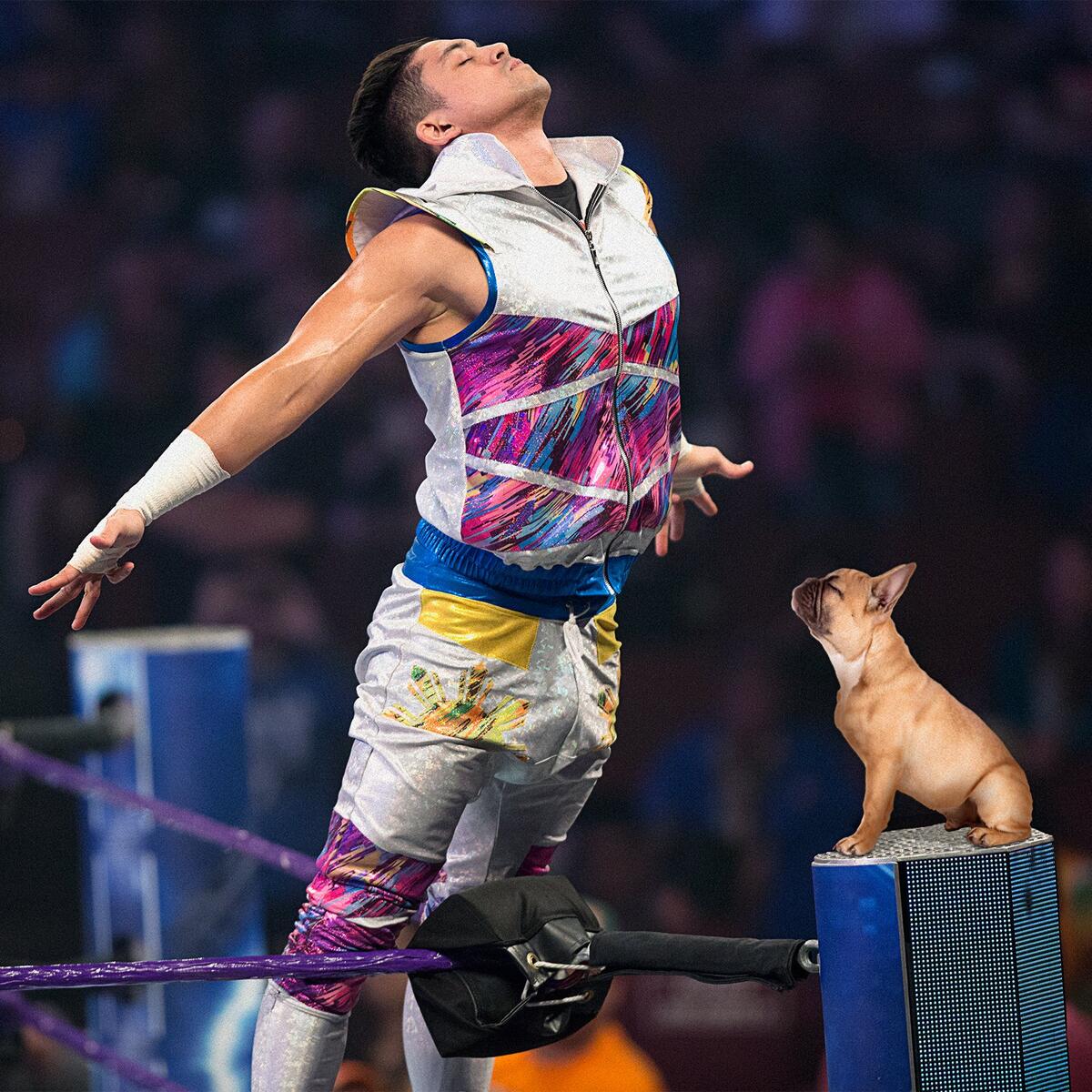 puppies wwe