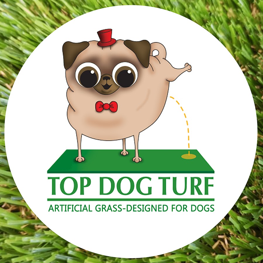 top dog turf