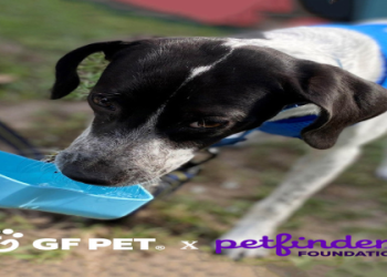 petfinder palm harbor