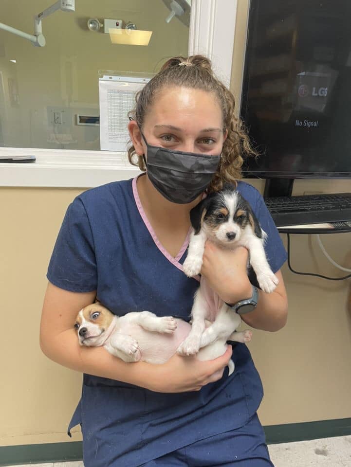 local animal rescue groups near me