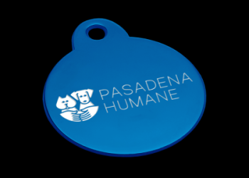 petfinder pasadena