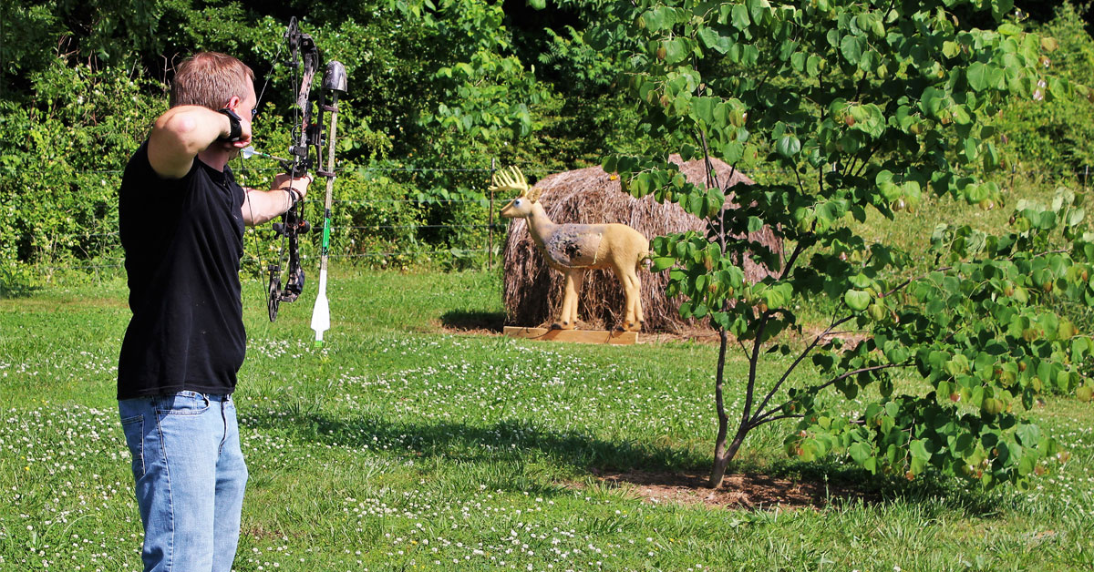 how does an arrow kill an animal