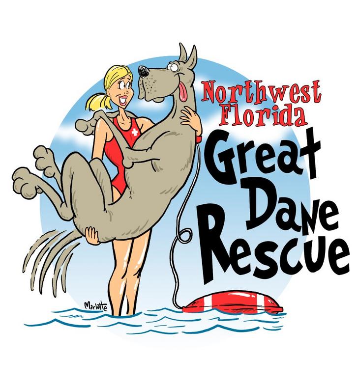 great dane rescue florida