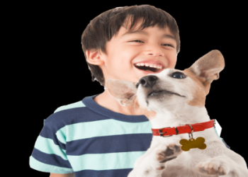 bestfriends com give a dog a home