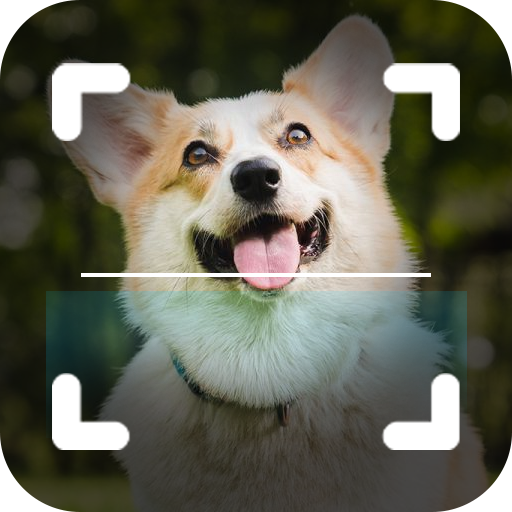 dog breed finder app