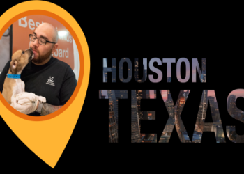 best friends org save them all