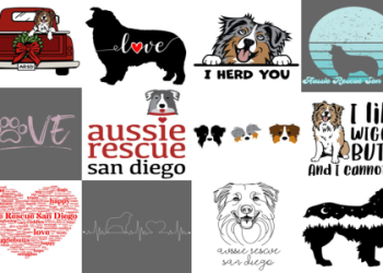 tennessee australian shepherd rescue