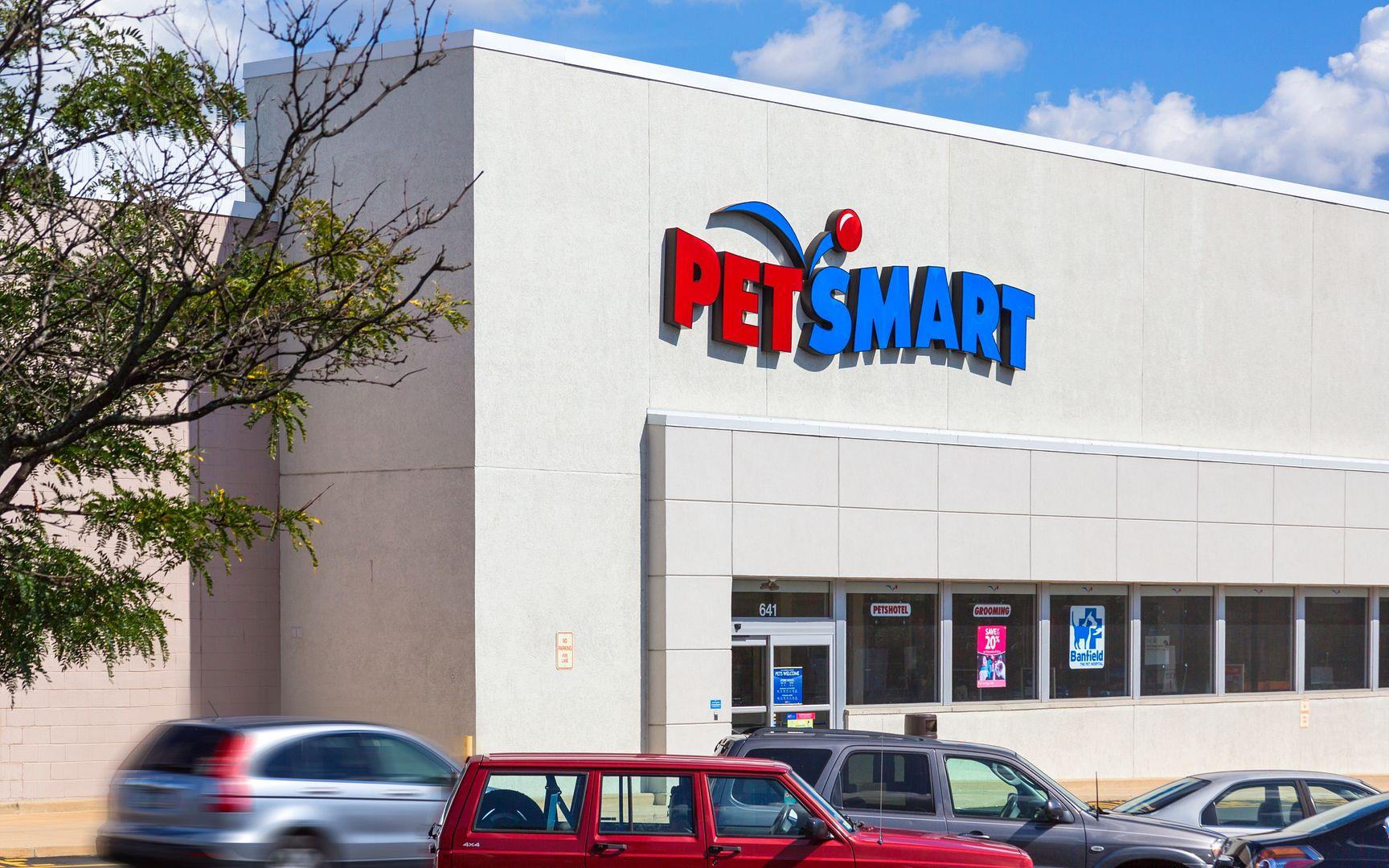 petsmart in springfield pa