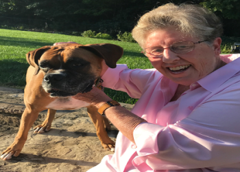 boxer rescue south carolina