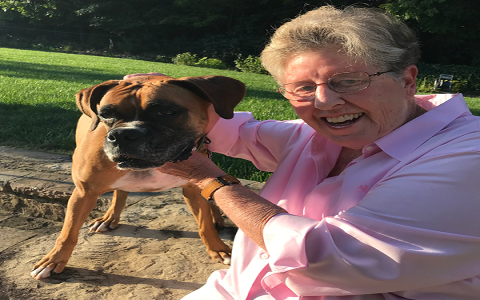 boxer rescue south carolina