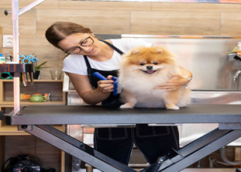 best friend dog grooming