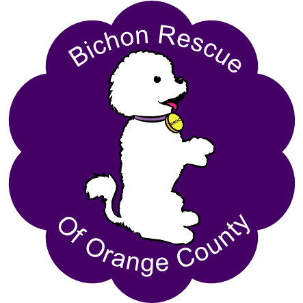bichon rescue of orange county