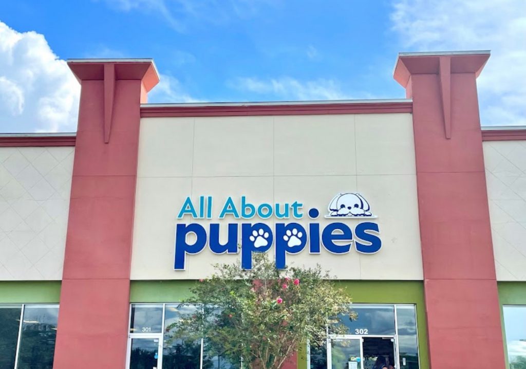 puppy store florida