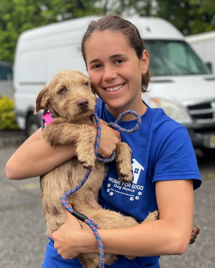 home for good dogs nj