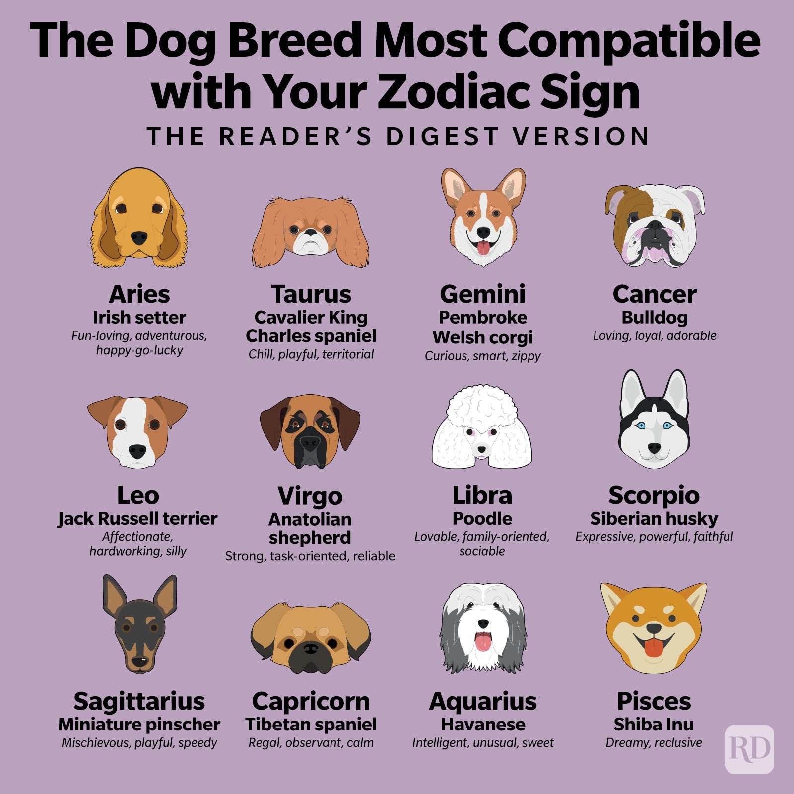 dog compatibility
